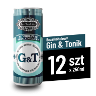 Bezalkoholowy drink GIN and TONIK 250ml - 12 szt - gt12.png